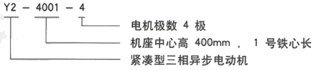 YR系列(H355-1000)高压YKS5005-8三相异步电机西安西玛电机型号说明